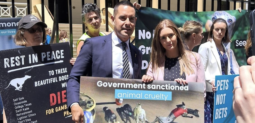 Anti-Greyhound Racing Coalition Protest Outside of Parliament